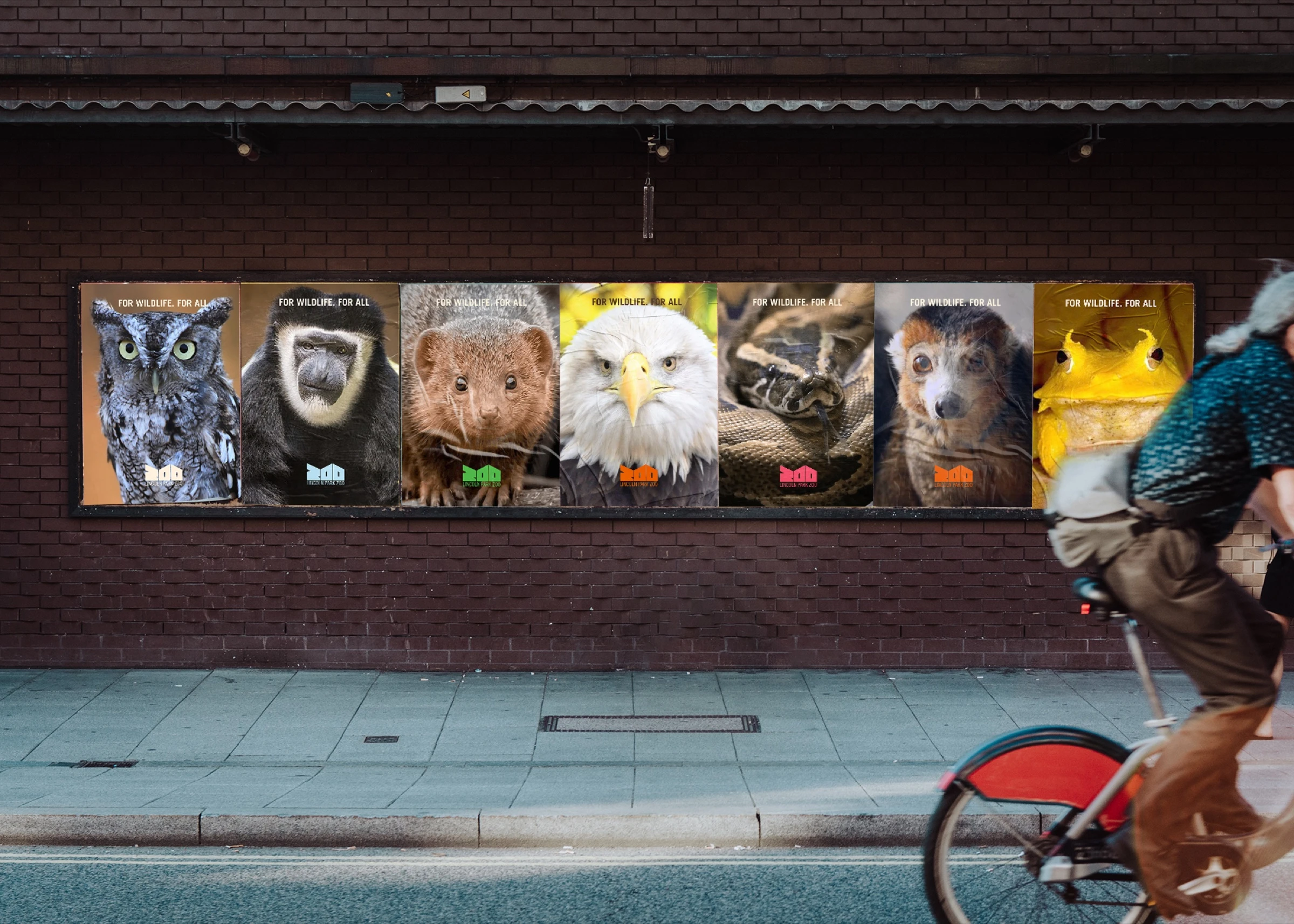 Wall of Lincoln Park Zoo posters with animal portraits and the ZOO logo, a cyclist passing by