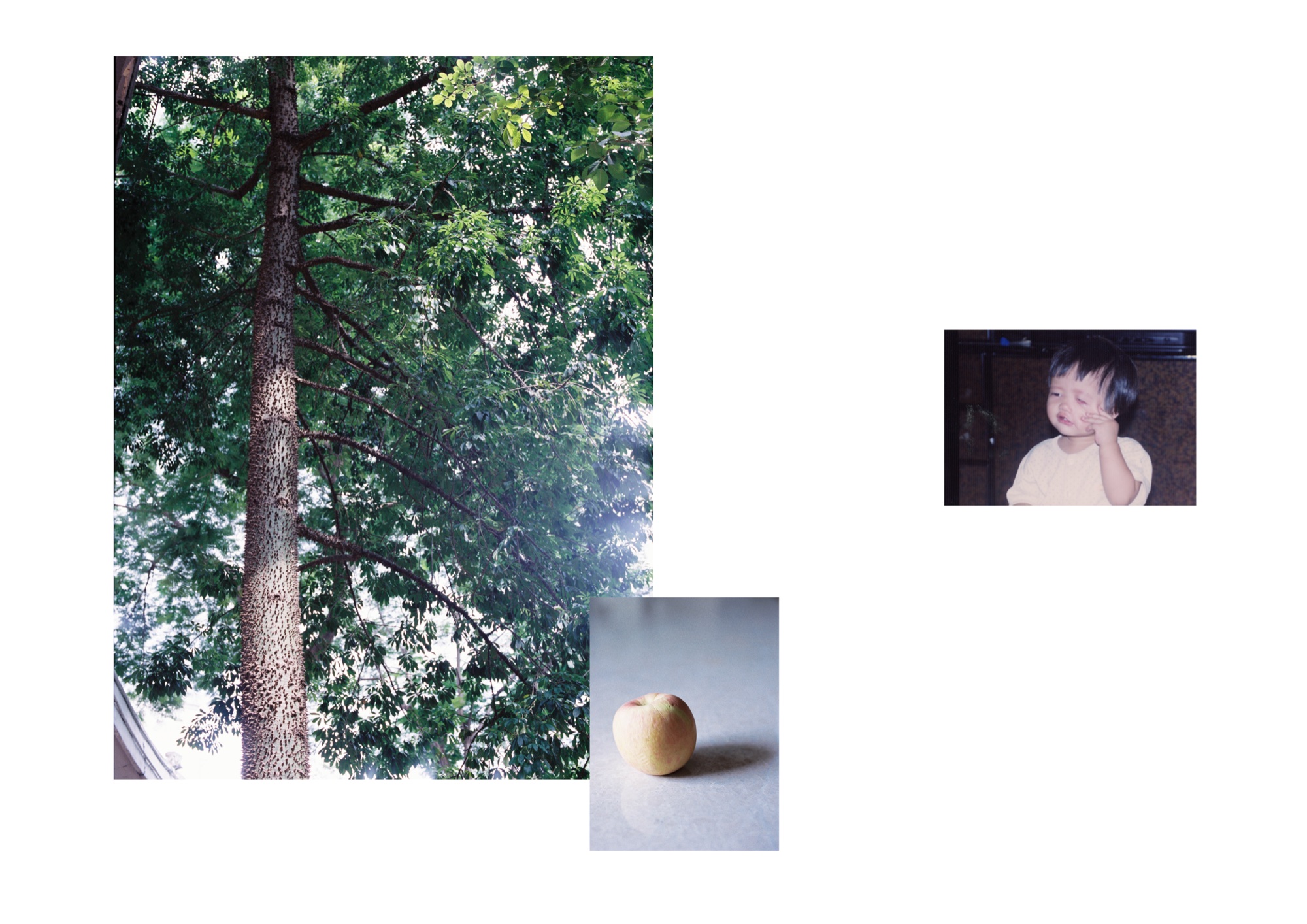 [Describe this spread]