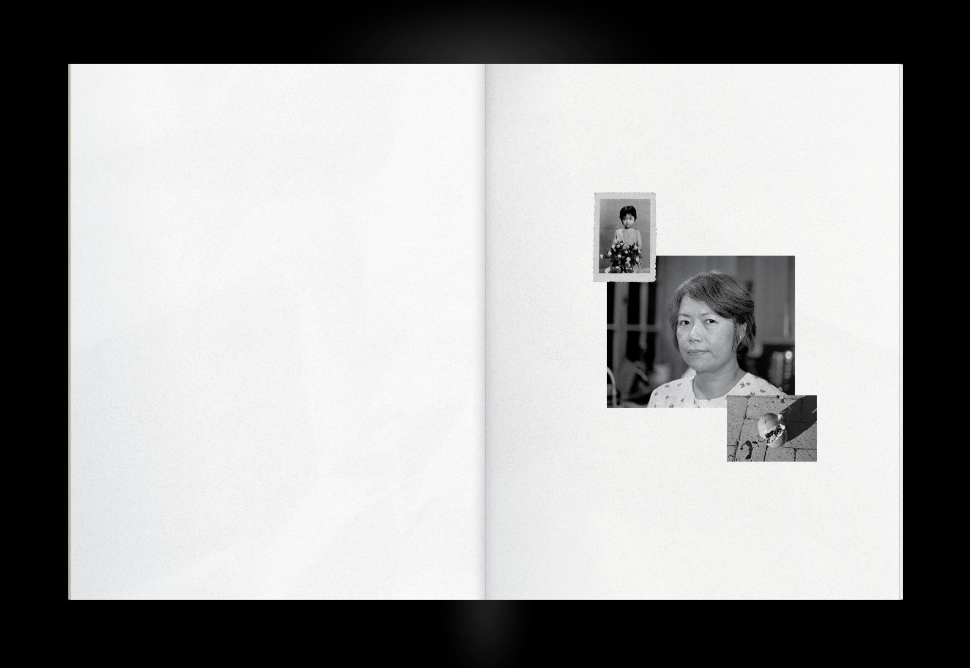 [Describe this spread]