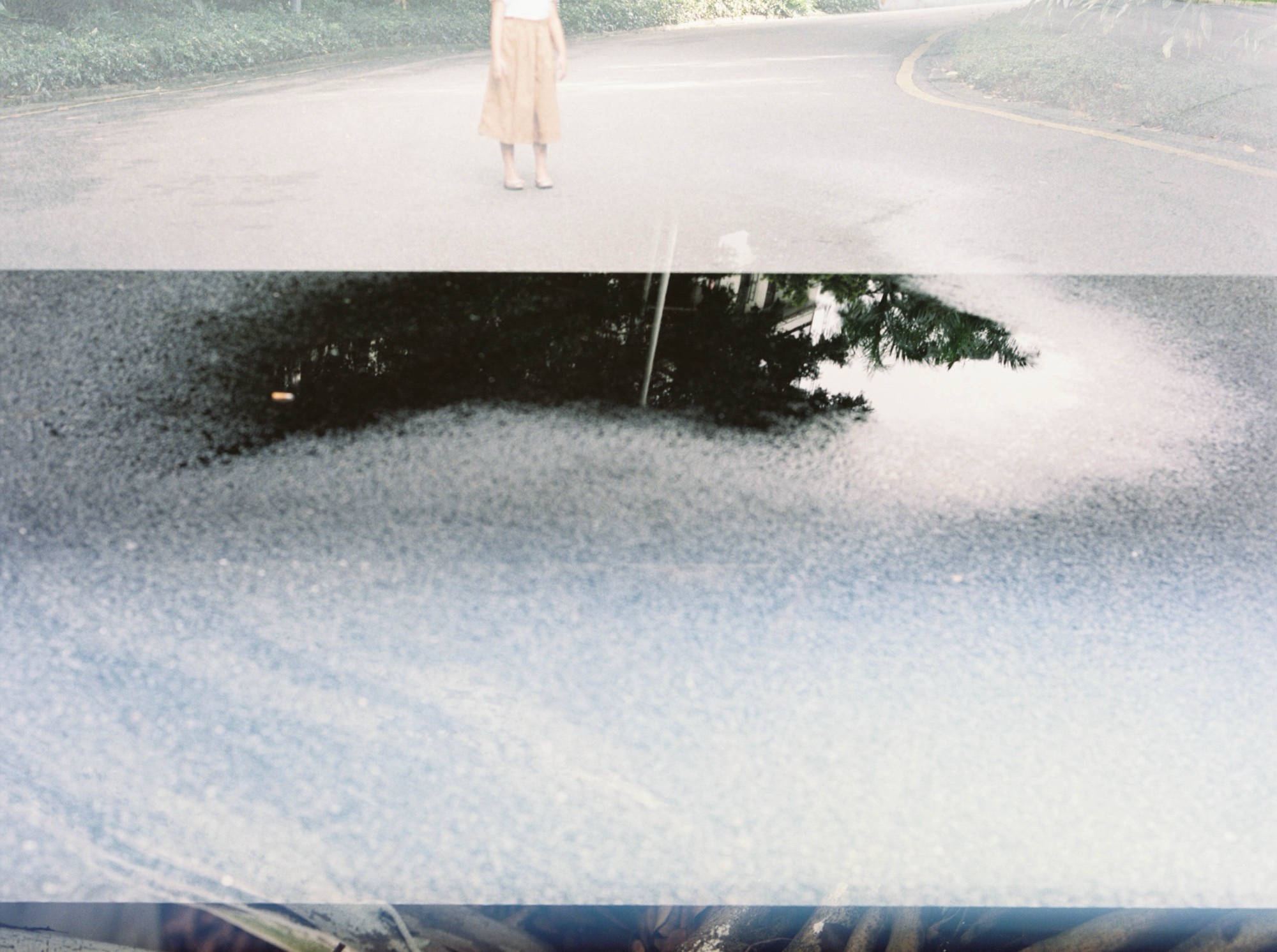 [Describe the photograph]