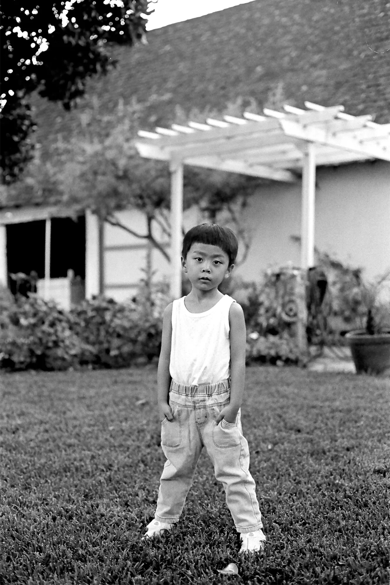 [Describe the photograph]