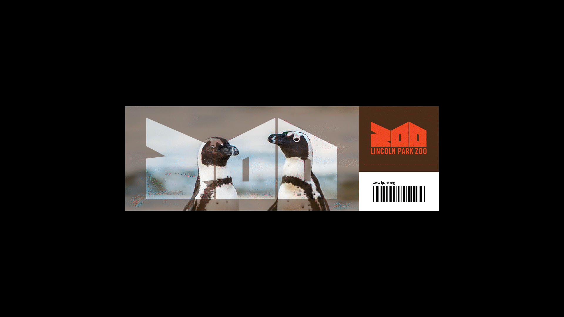 Animated Lincoln Park Zoo ticket with an animal photo inside the ZOO shape